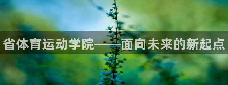 公海赌赌船官方正版app集团:省体育运动学院——面向未来的新