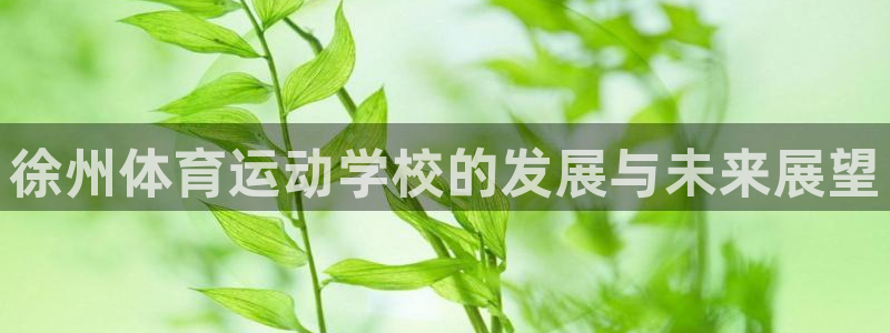 公海赌赌船官网下载是干嘛的公司:徐州体育运动学校的发展与未来