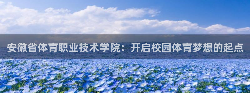 公海赌赌船官方正版app娱乐:安徽省体育职业技术学院:开启校